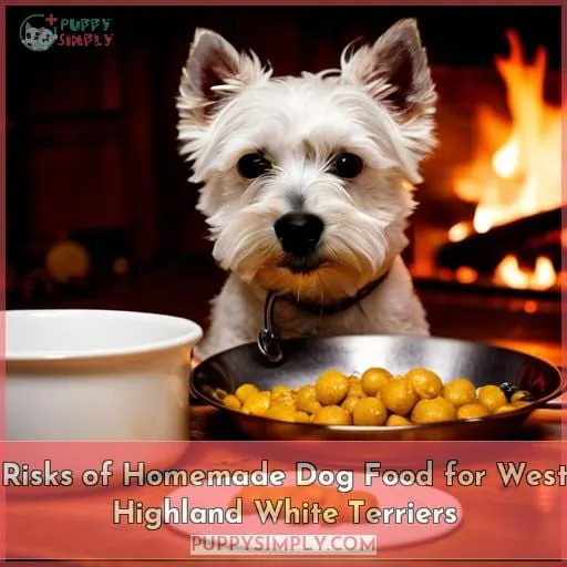 Risks of Homemade Dog Food for West Highland White Terriers