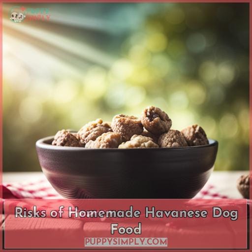 Risks of Homemade Havanese Dog Food
