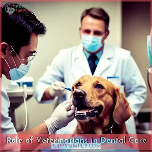 Role of Veterinarians in Dental Care
