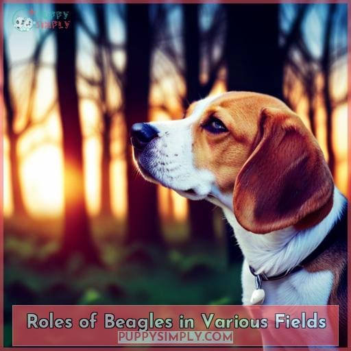 Roles of Beagles in Various Fields