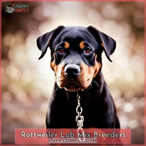 Rottweiler Lab Mix Breeders