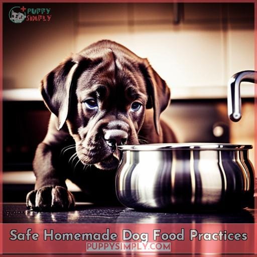 Safe Homemade Dog Food Practices