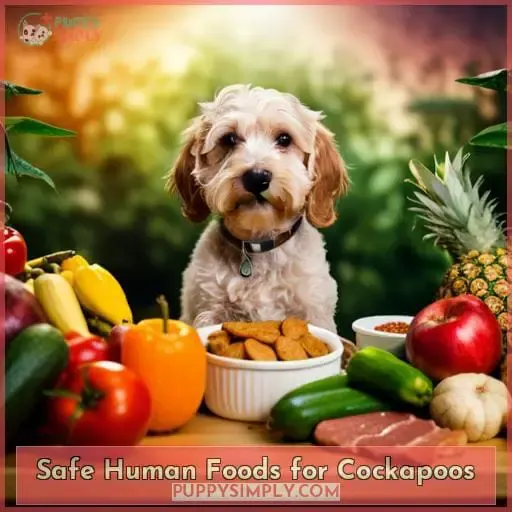 Safe Human Foods for Cockapoos
