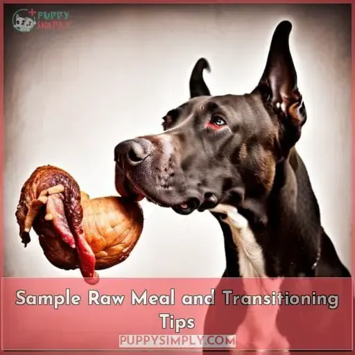 Sample Raw Meal and Transitioning Tips