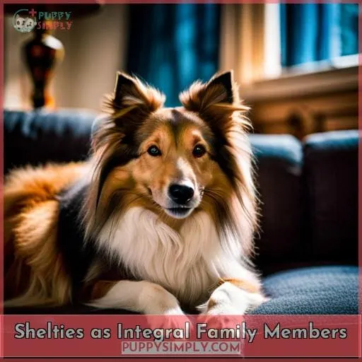 Shelties as Integral Family Members