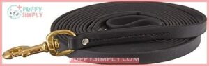 Signature k-9 Biothane Long Line, B005CXIZL6