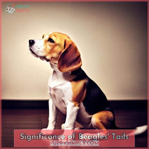 Significance of Beagles