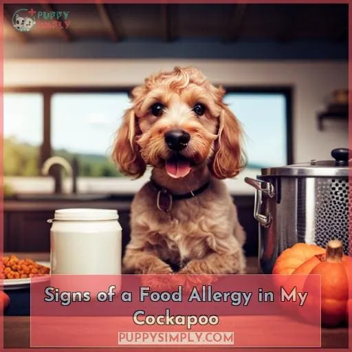 Signs of a Food Allergy in My Cockapoo
