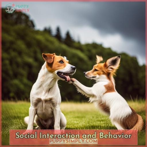 Social Interaction and Behavior