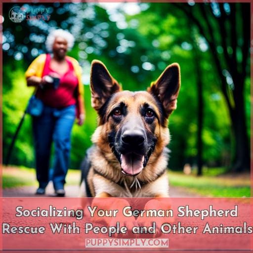 Socializing Your German Shepherd Rescue With People and Other Animals