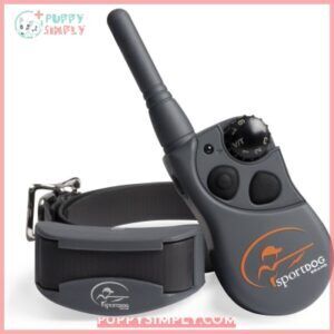 SportDOG FieldTrainer 425X Remote Training 206333