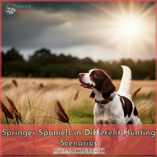 Springer Spaniels in Different Hunting Scenarios