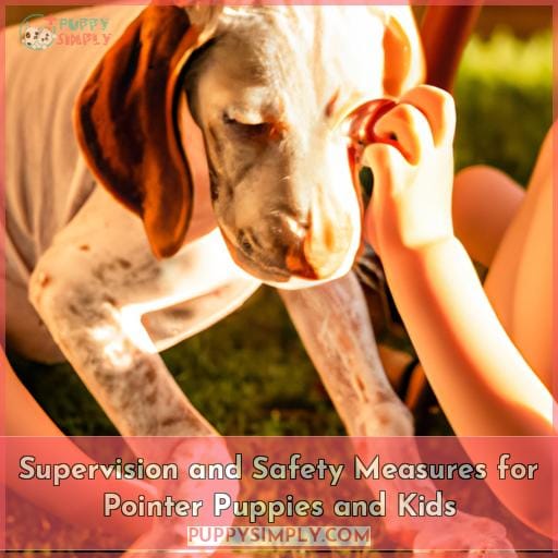 Supervision and Safety Measures for Pointer Puppies and Kids