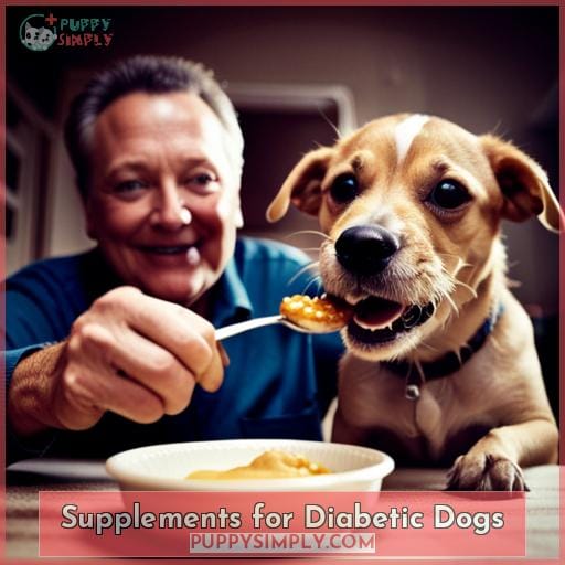Supplements for Diabetic Dogs