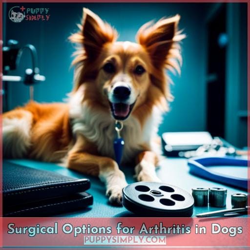 Surgical Options for Arthritis in Dogs