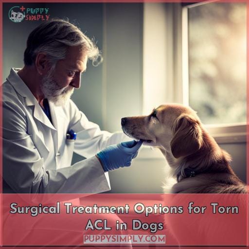 Surgical Treatment Options for Torn ACL in Dogs