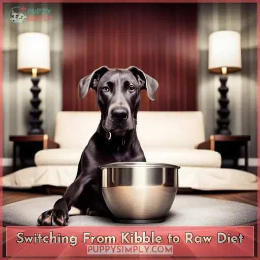 Switching From Kibble to Raw Diet
