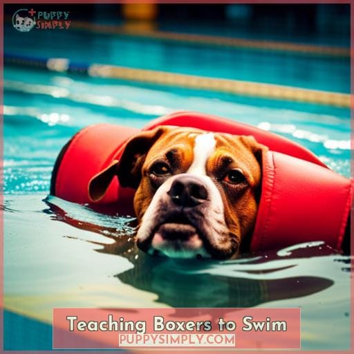 Teaching Boxers to Swim