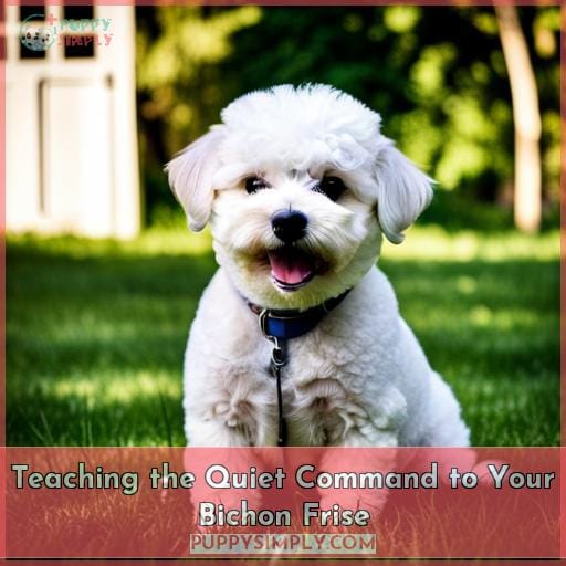 Teaching the Quiet Command to Your Bichon Frise