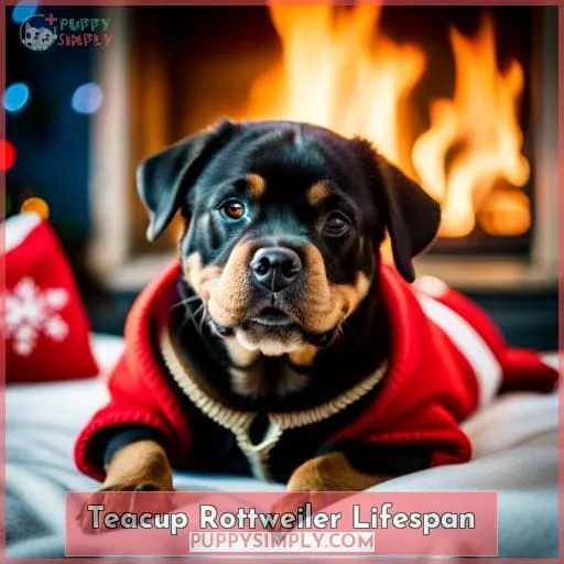 Teacup Rottweiler Lifespan