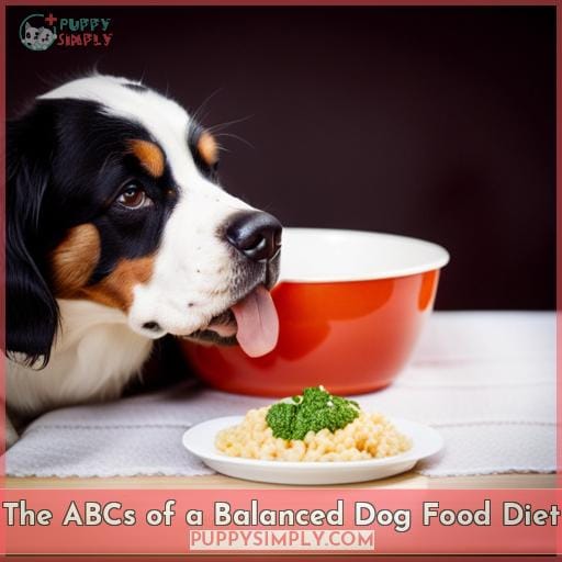 The ABCs of a Balanced Dog Food Diet