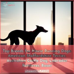 the best breeds to have a running dog in your house