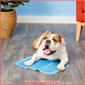 The Green Pet Shop Cool 133193
