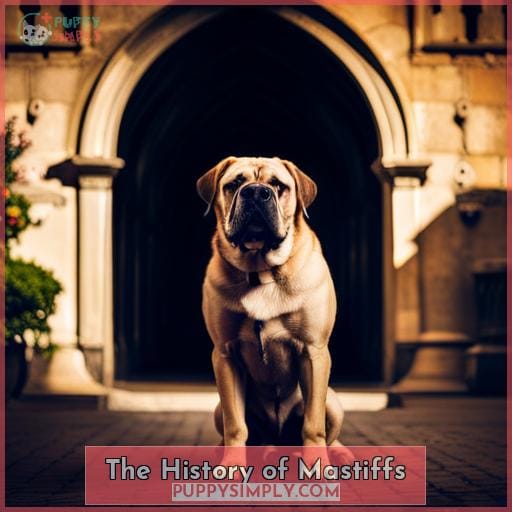 The History of Mastiffs