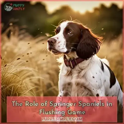 The Role of Springer Spaniels in Flushing Game