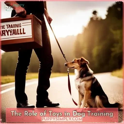 The Role of Toys in Dog Training