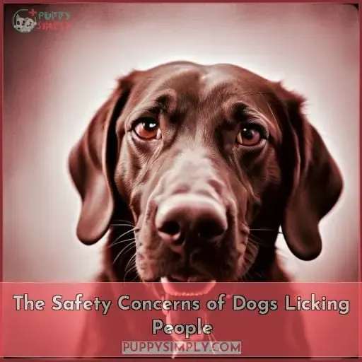 The Safety Concerns of Dogs Licking People