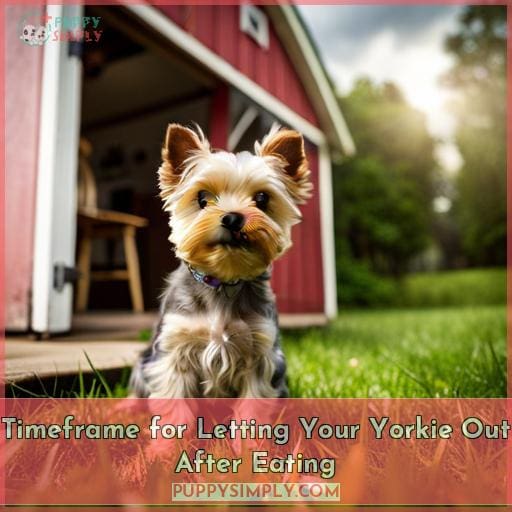 Timeframe for Letting Your Yorkie Out After Eating
