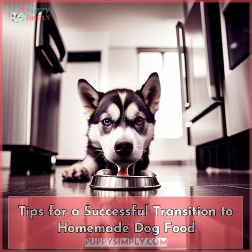 Tips for a Successful Transition to Homemade Dog Food