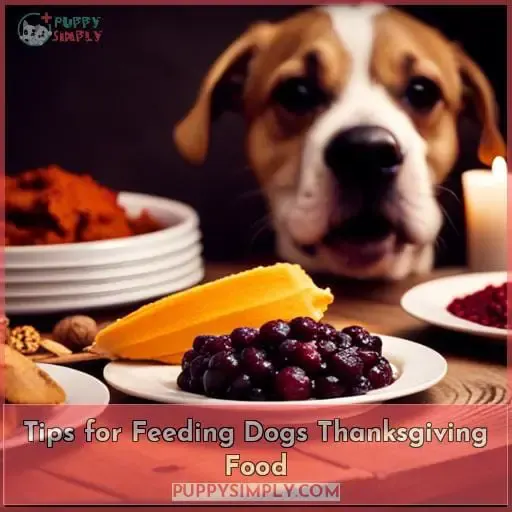 Tips for Feeding Dogs Thanksgiving Food