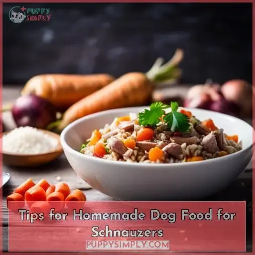 Tips for Homemade Dog Food for Schnauzers