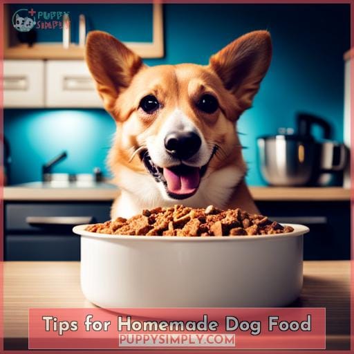 Tips for Homemade Dog Food