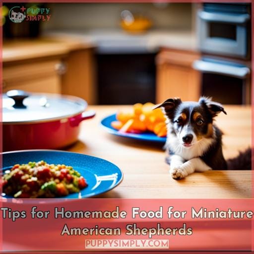 Tips for Homemade Food for Miniature American Shepherds