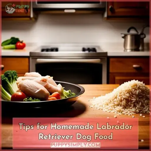 Tips for Homemade Labrador Retriever Dog Food