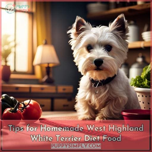 Tips for Homemade West Highland White Terrier Diet Food