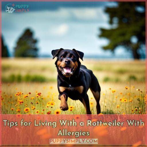 Tips for Living With a Rottweiler With Allergies