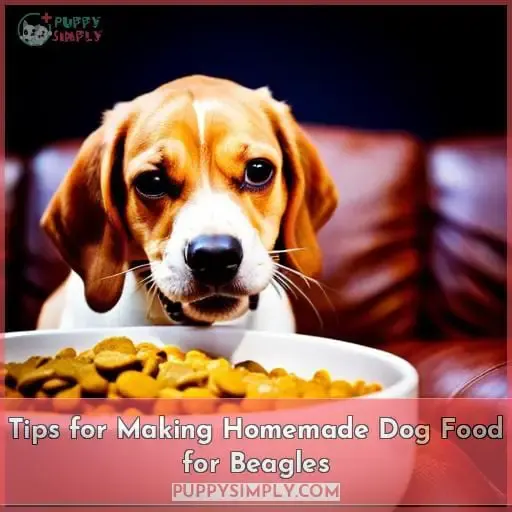 Tips for Making Homemade Dog Food for Beagles