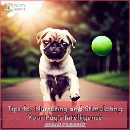Tips for Nurturing and Stimulating Your Pug