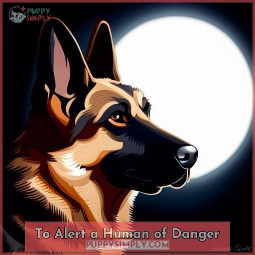 To Alert a Human of Danger