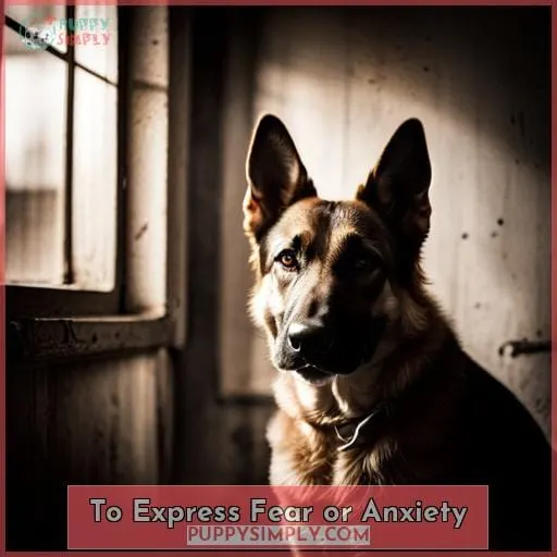 To Express Fear or Anxiety