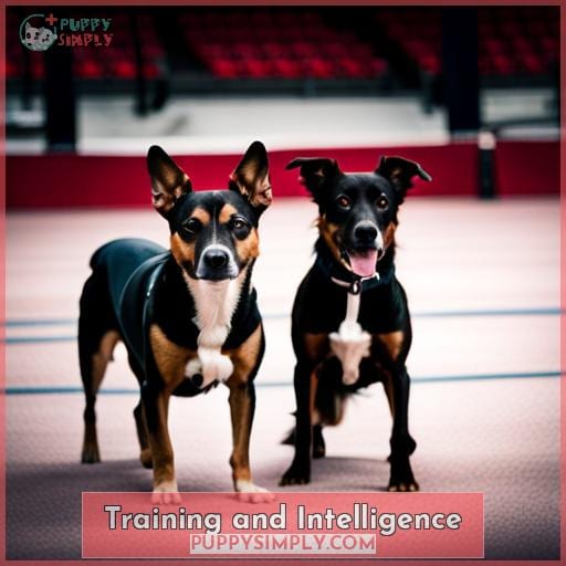 Training and Intelligence