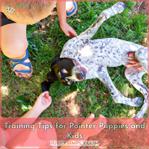 Training Tips for Pointer Puppies and Kids