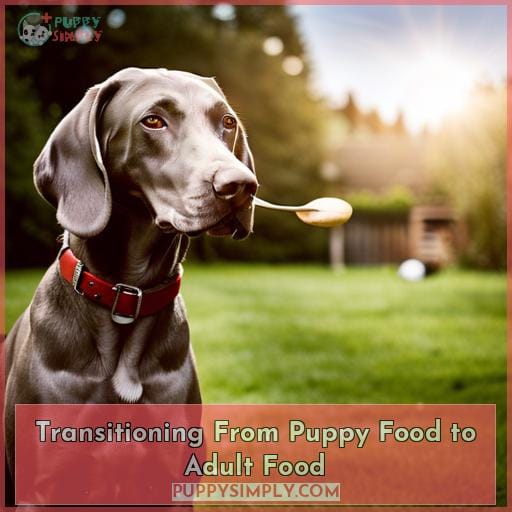 Transitioning From Puppy Food to Adult Food