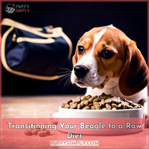 Transitioning Your Beagle to a Raw Diet
