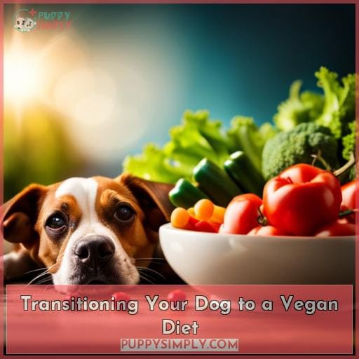 Transitioning Your Dog to a Vegan Diet