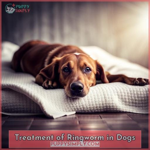 Treatment of Ringworm in Dogs